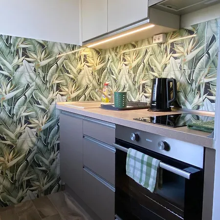 Mini Premium 미슈콜츠