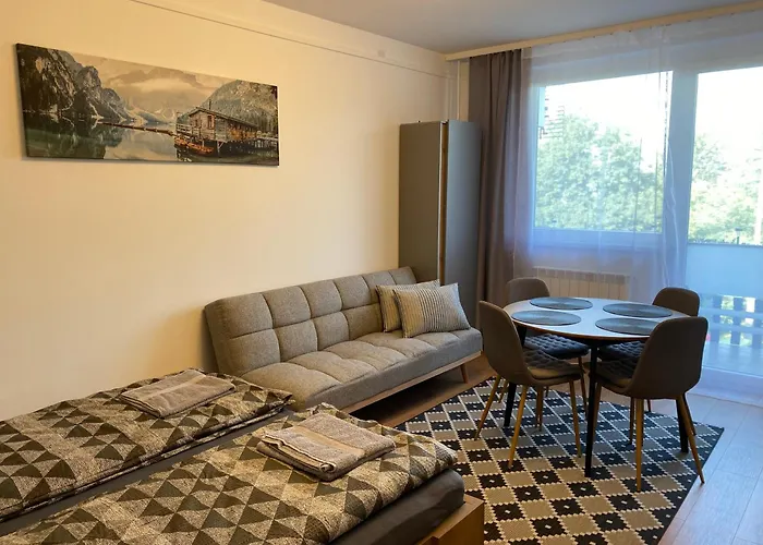 Apartament Mini Premium
